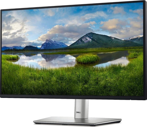 P2422H 23.8" 5 ms Full HD Pivot IPS 60 Hz Monitör