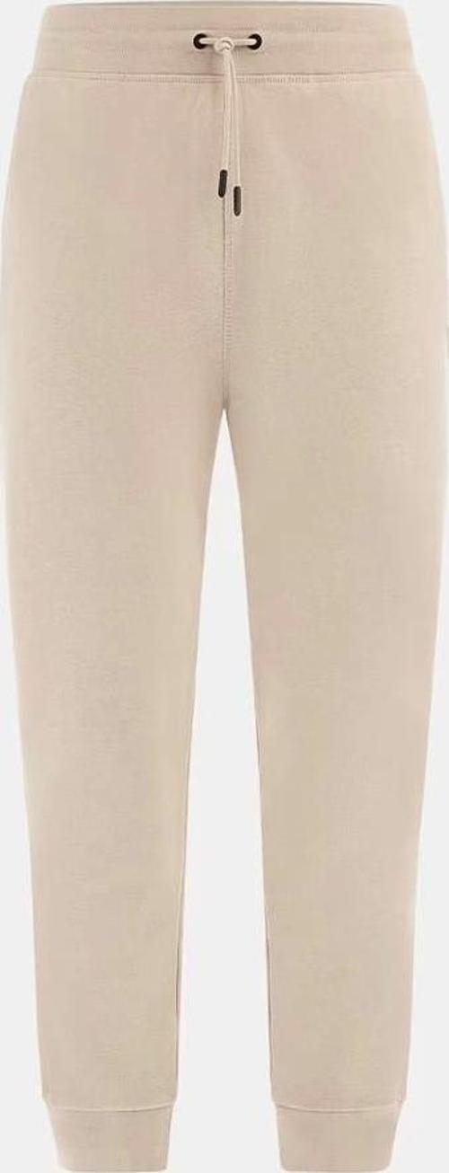 Erkek Aldwin Jogger Pantolon