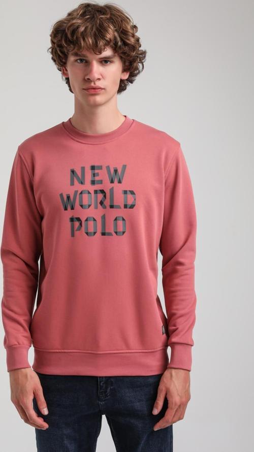 Bisiklet Yaka Kestane Slim Fit Sweatshirt 23FWM60161