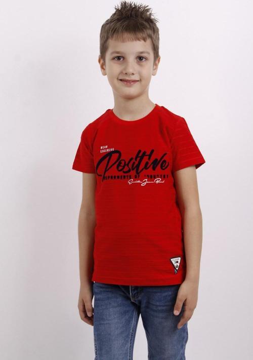 Toontoy Erkek Çocuk Flok Baskılı Örgülü Tişört