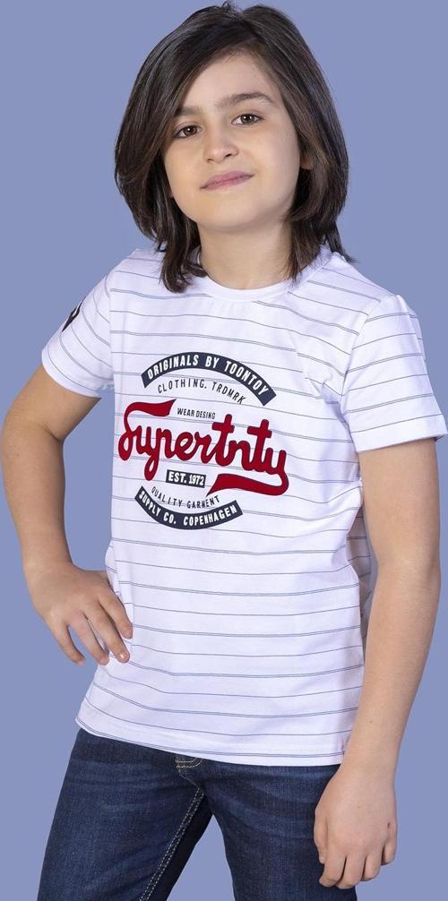 Toontoy Erkek Çocuk Çizgili Tişört