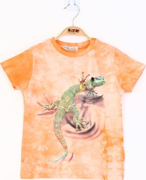 Toontoy Erkek Çocuk Batik Desenli Kertenkele Baskılı Tişört