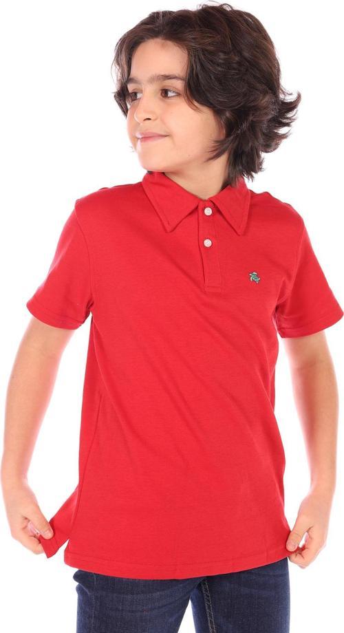 Toontoy Erkek Çocuk Polo Yaka Tişört