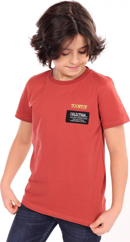 Toontoy Erkek Çocuk Göğsü Arma Detaylı Tişört