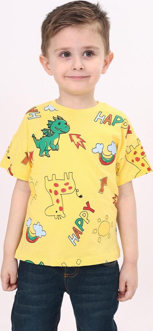 Toontoy Erkek Çocuk Baskılı Tişört