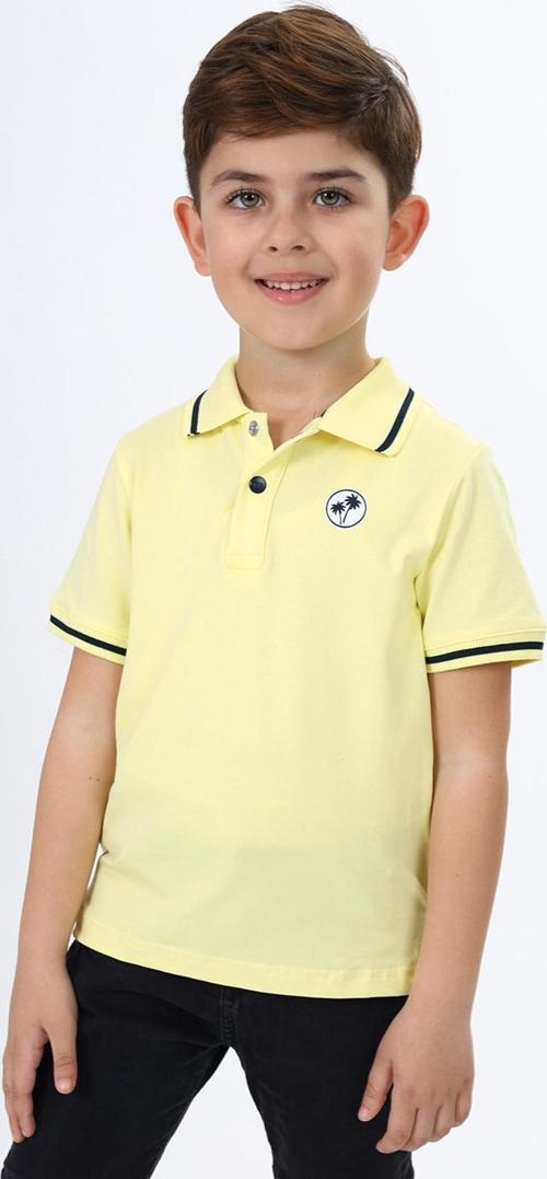 Toontoy Erkek Çocuk Baskılı Tişört