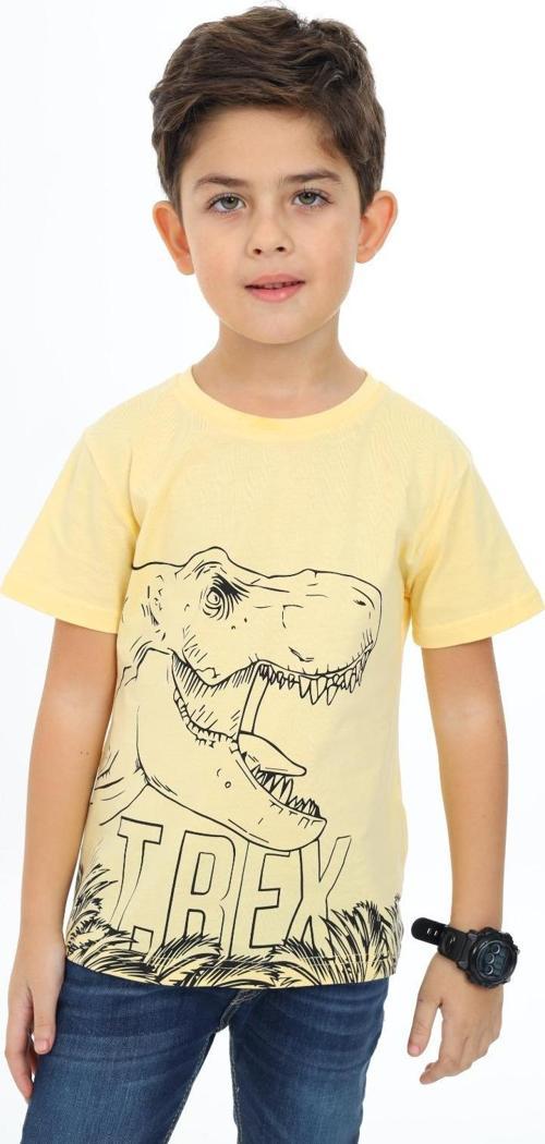 Toontoy Erkek Çocuk Trex Baskılı Tişört