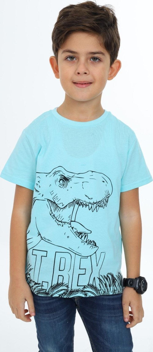 Toontoy Erkek Çocuk Trex Baskılı Tişört