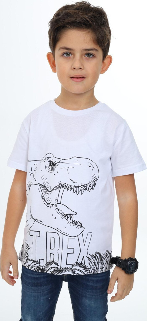 Toontoy Erkek Çocuk Trex Baskılı Tişört