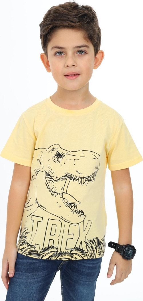 Toontoy Erkek Çocuk Trex Baskılı Tişört