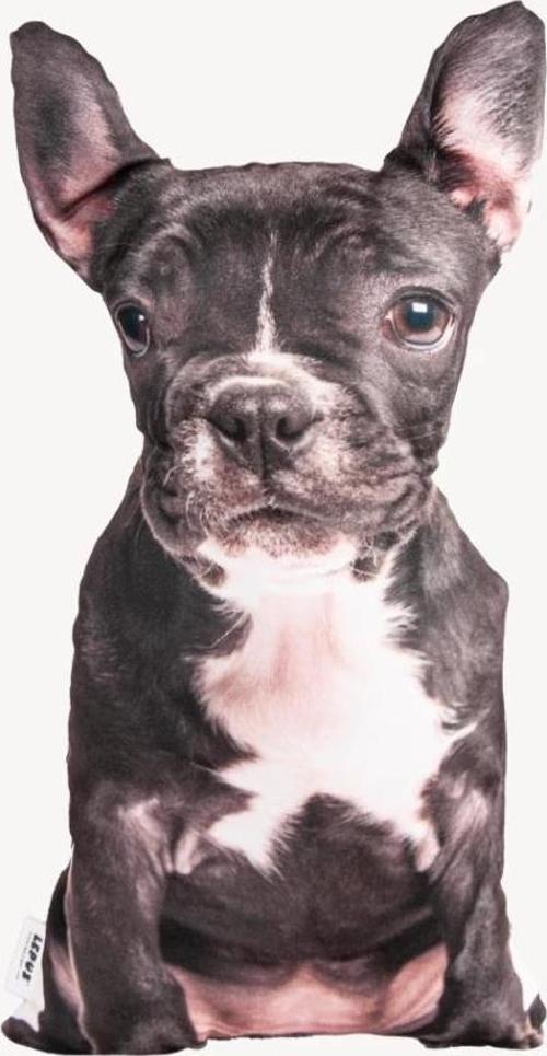 3 Boyutlu Köpek Yastığı No 14 40x25 Cm