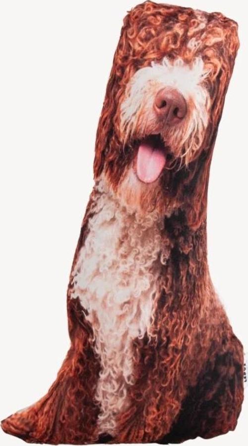3 Boyutlu Köpek Yastığı No 18 40x25 Cm