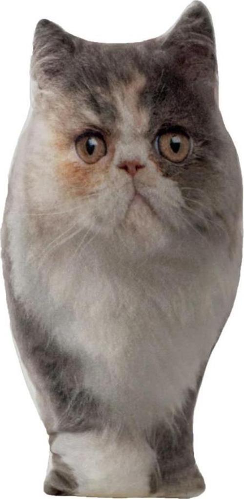 3 Boyutlu Kedi Yastığı Exotic No 4 40x25 Cm