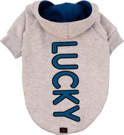 Lucky Gri Kapüşonlu Köpek Sweatshirt Small