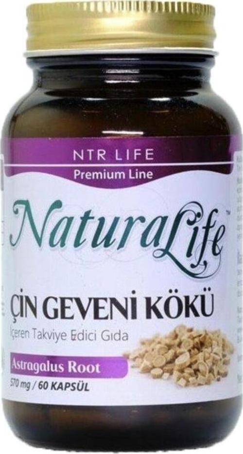 Astragalus - Çin Geveni Kökü 60 Kapsül