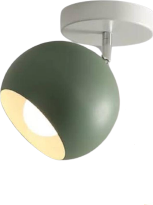Metal Retro Su Yeşili Tavan Plofyoner 180 Derece Hareketli Modern Spor Avize Çap:20 cm