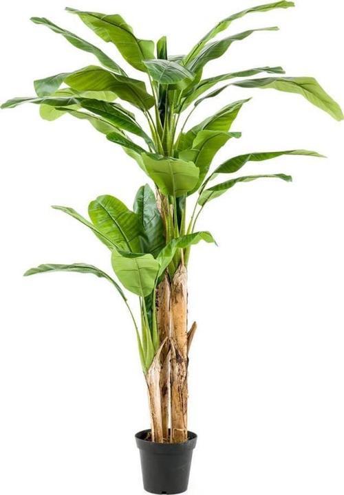 Yapay Ağaç Muz Ağacı Yapay Starliçe 240cm Siyah Plastik Saksıda  