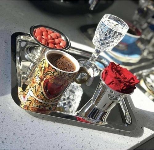 Aknur Plastik 6'Lı Düz Kare Çelik Kahve Sunum Tepsisi