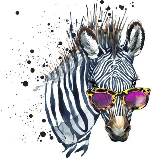 Güneş Gözlüklü Zebra Kanvas Tablo
