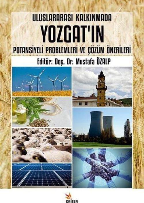 Uluslararası Kalkınmada Yozgat'ın Potansiyeli Problemleri ve Çözüm Önerileri