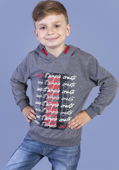 Toontoy Erkek Çocuk Kapüşonlu Baskılı Sweatshirt