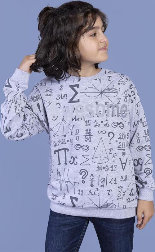 Toontoy Erkek Çocuk Baskılı Sweatshirt