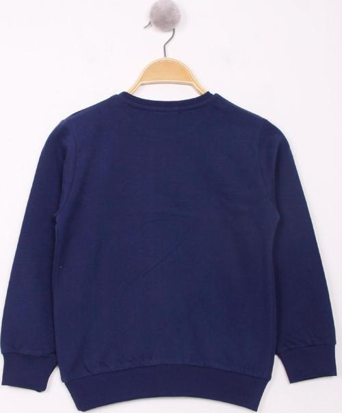 Toontoy Erkek Çocuk Uçak Baskılı Sweatshirt