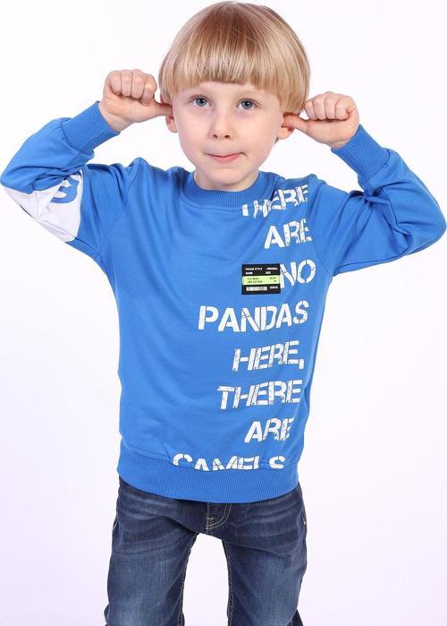 Toontoy Erkek Çocuk Ön Ve Kol Baskılı Sweatshirt