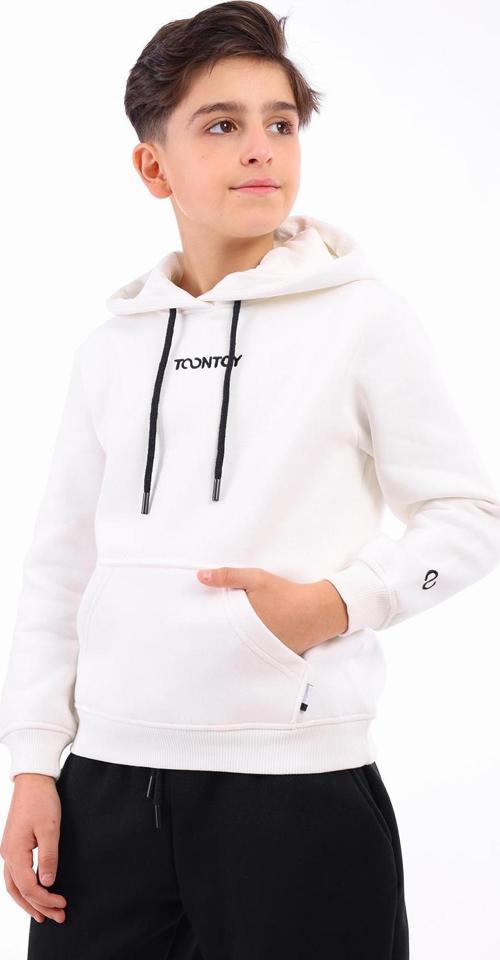 Toontoy Erkek Çocuk Nakışlı Sweatshirt