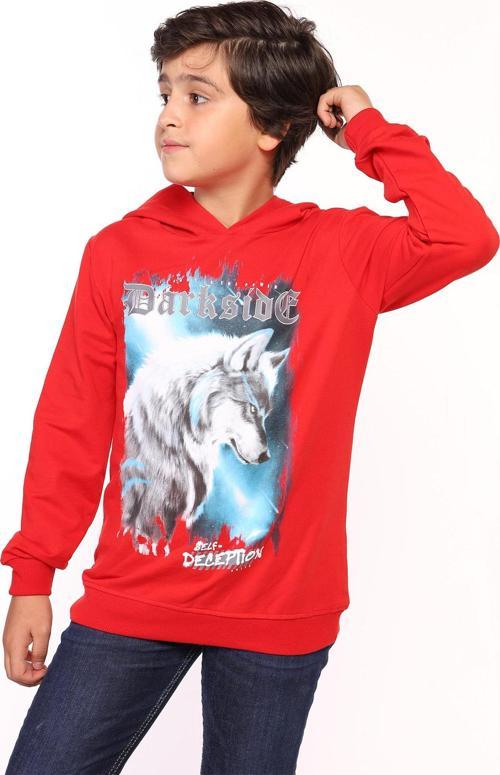 Toontoy Erkek Çocuk Baskılı Sweatshirt