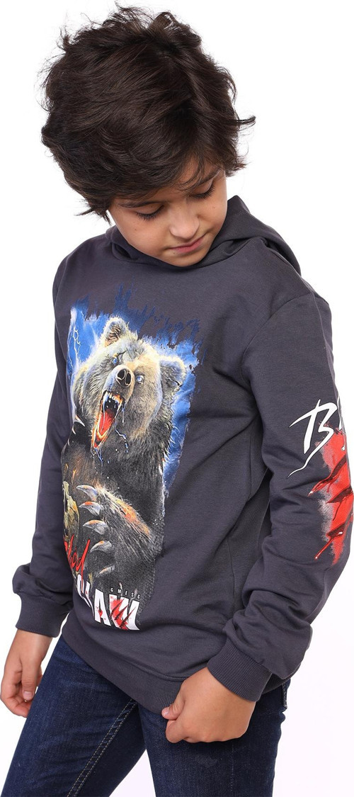 Toontoy Erkek Çocuk Aslan ve Blood Clan Baskılı Sweatshirt