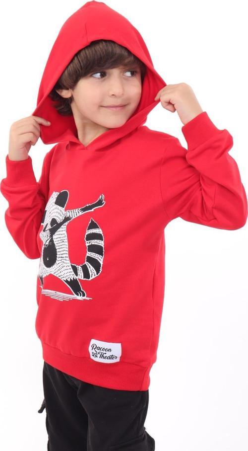 Toontoy Erkek Çocuk Rakun  Baskılı Sweatshirt