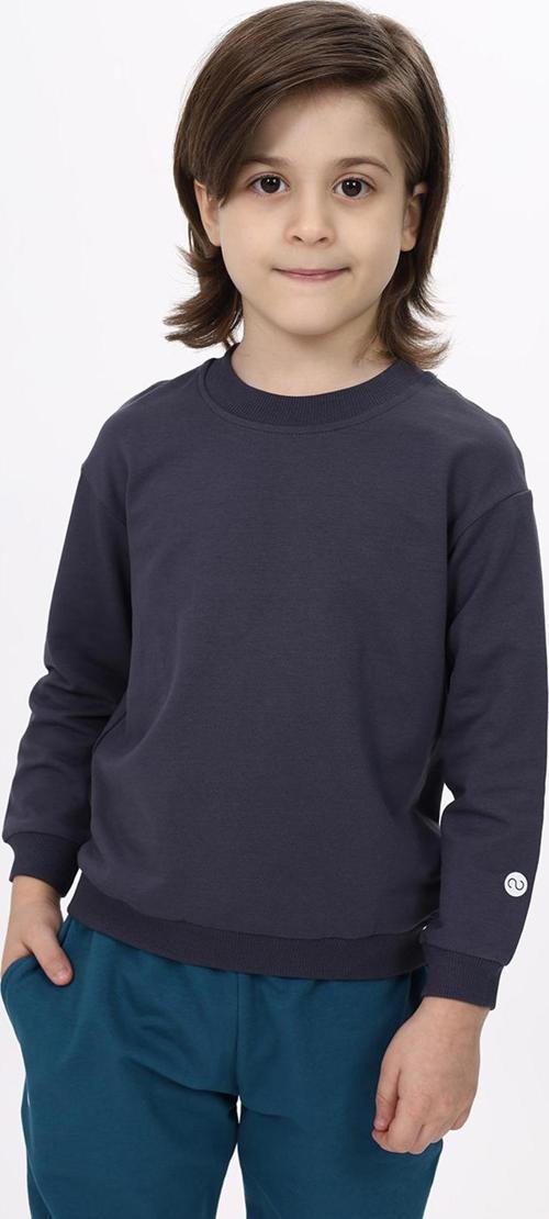 Toontoy Erkek Çocuk Baskılı Sweatshirt