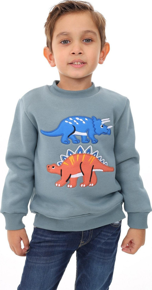 Toontoy Erkek Çocuk Nakışlı Sweatshirt