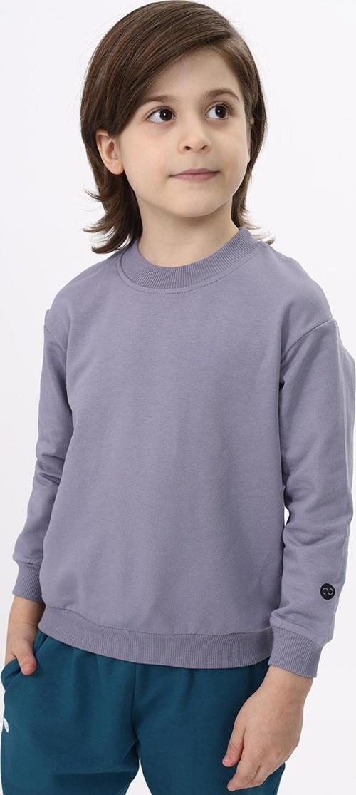 Toontoy Erkek Çocuk Baskılı Sweatshirt