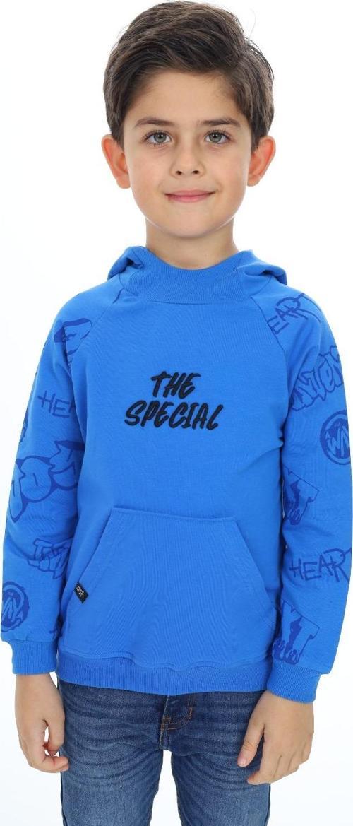Toontoy Erkek Çocuk Nakışlı Sweatshirt