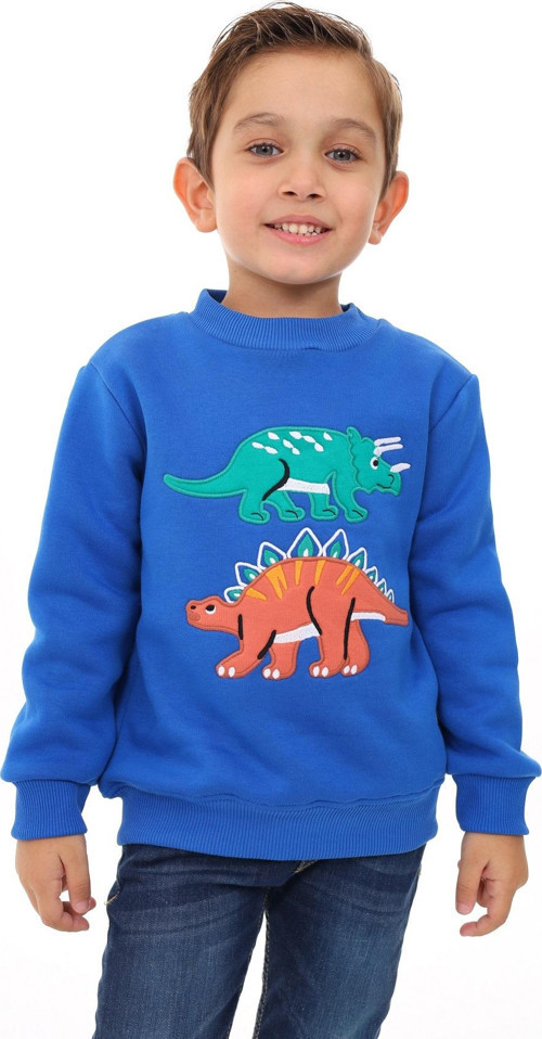 Toontoy Erkek Çocuk Nakışlı Sweatshirt