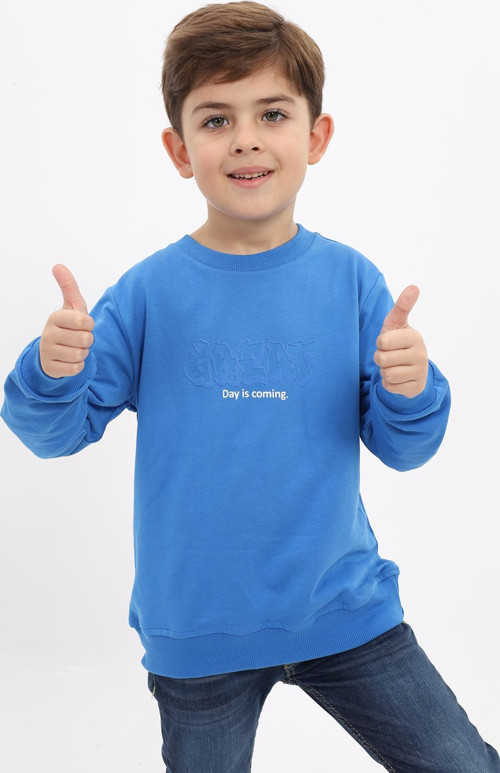 Toontoy Erkek Çocuk Baskılı Sweatshirt