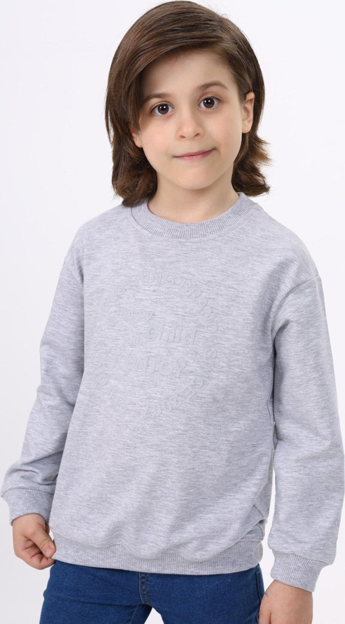 Toontoy Erkek Çocuk Baskılı Sweatshirt