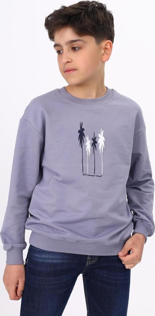 Toontoy Erkek Çocuk Baskılı Sweatshirt