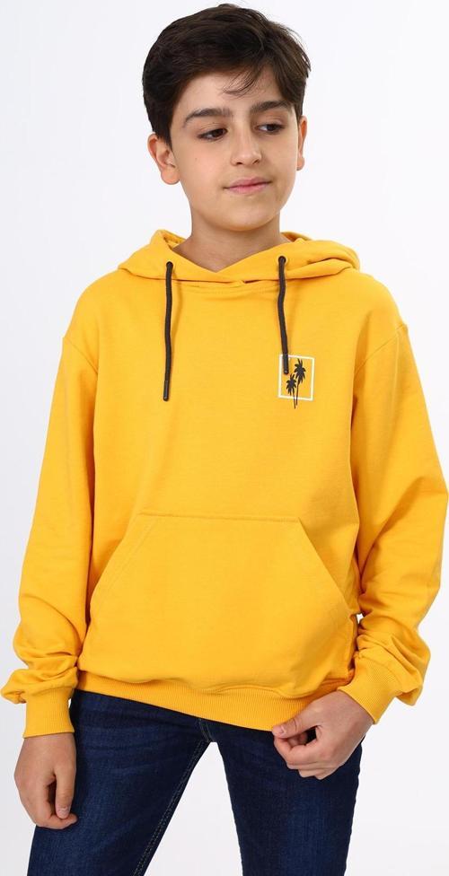 Toontoy Erkek Çocuk Baskılı Sweatshirt