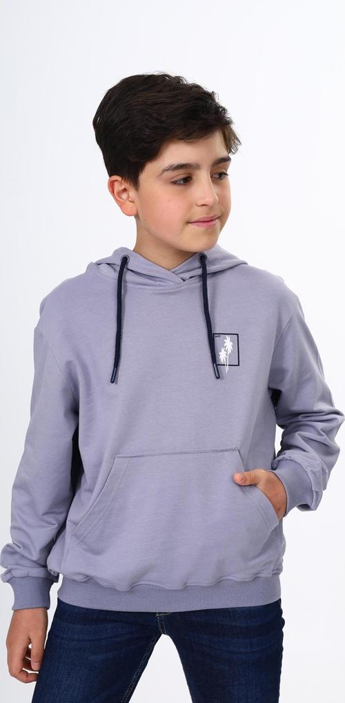 Toontoy Erkek Çocuk Baskılı Sweatshirt