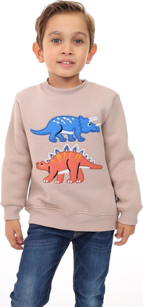 Toontoy Erkek Çocuk Nakışlı Sweatshirt