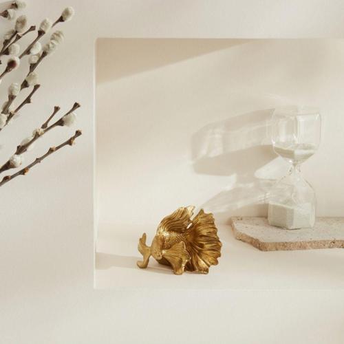 Rumble Fish Biblo Gold