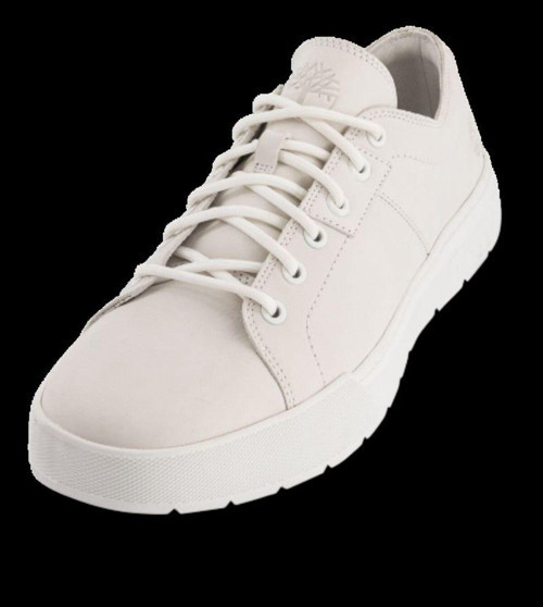 Low Lace Up Sneaker