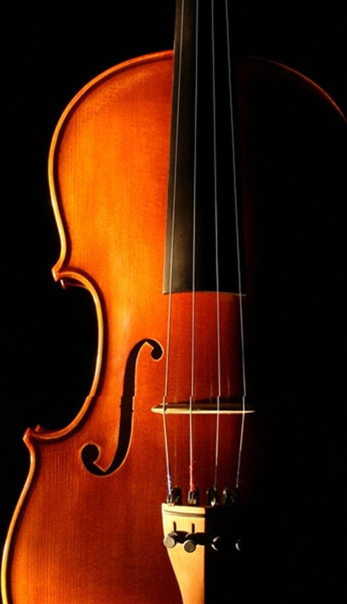 Keman Kanvas Tablo