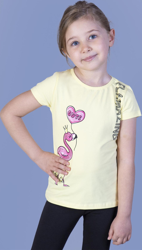 Toontoy Kız Çocuk Flamingo Desenli Taş İşlemeli Baskılı Tişört