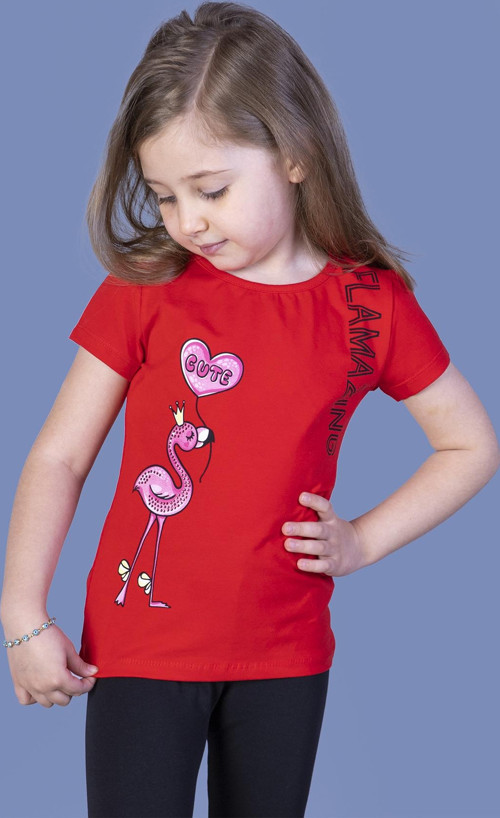 Toontoy Kız Çocuk Flamingo Desenli Taş İşlemeli Baskılı Tişört