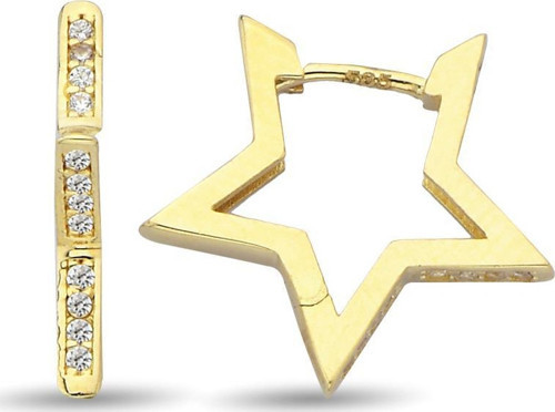 Altın Yıldız Küpe 2,54 Gram