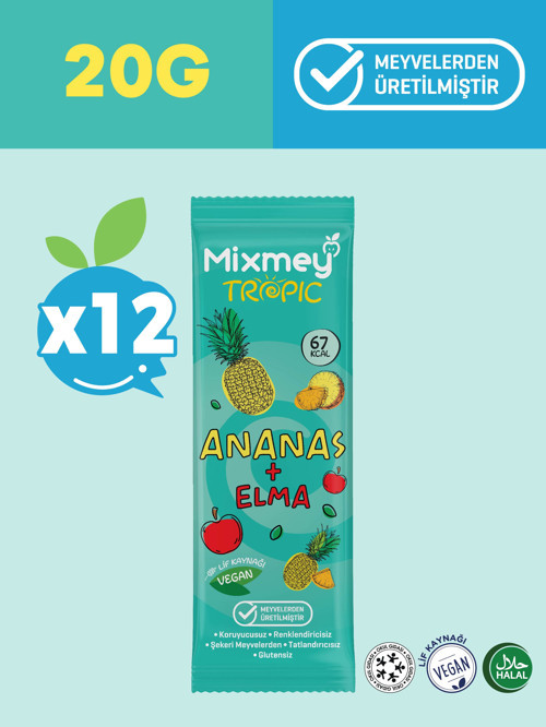 Ananas Meyve Bar 12 Adet |vegan, Doğal Ve Glutensiz Sağlıklı Atıştırmalık - 20gr X 12 Adet
